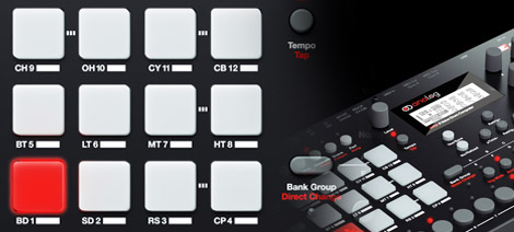 Rytm さくらもち部分